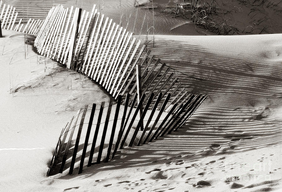 Lines In The Sand Photograph by Raymond Earley