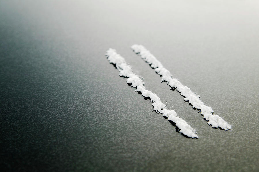 Lines Of Cocaine Photograph by Gustoimages/science Photo Library