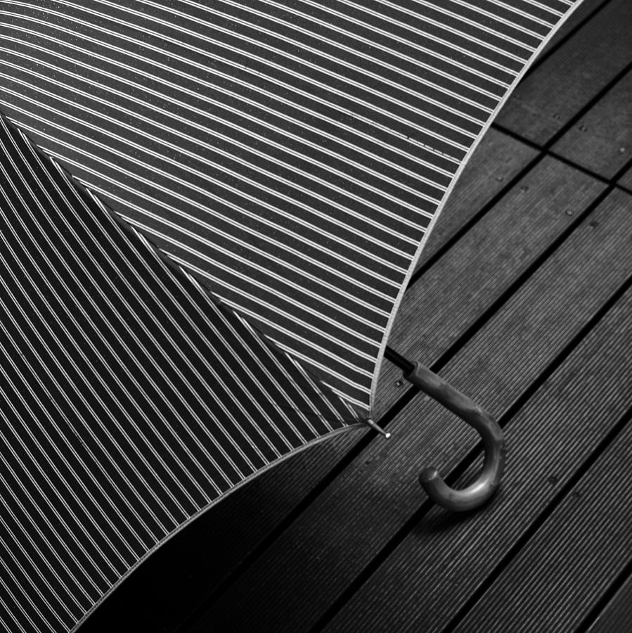 Lines On Open Umbrella Photograph by Sner3jp