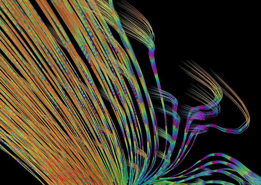 Lines Digital Art - Lines by Paul McManus Lines Digital Art - Lines by Paul McManus
