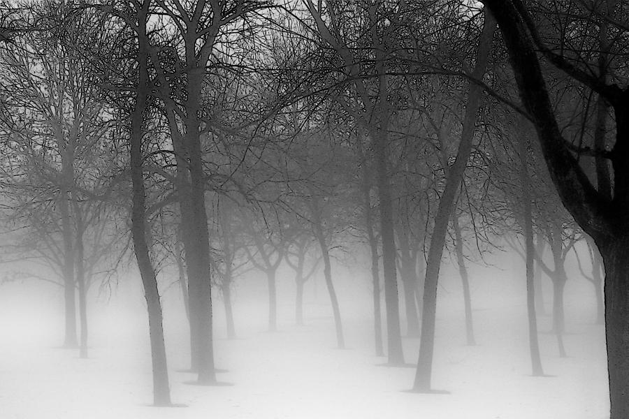 Lingering Fog Photograph by Susan McMenamin