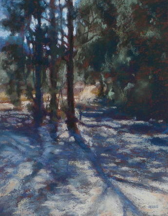 Tree Pastel - Lingering Shaddows by Janice Harris