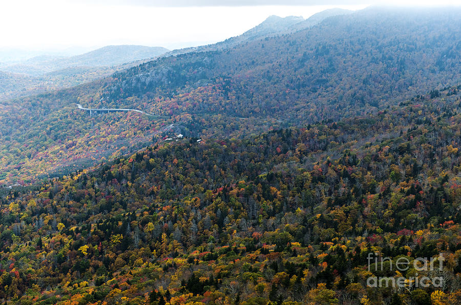 Linn Cove Viaduct on the Blue Ridge Parkway Photograph by David Oppenheimer