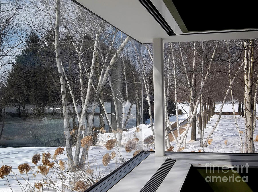 Winter Photograph - Linnaeus Room Winter View by Nancy Mueller