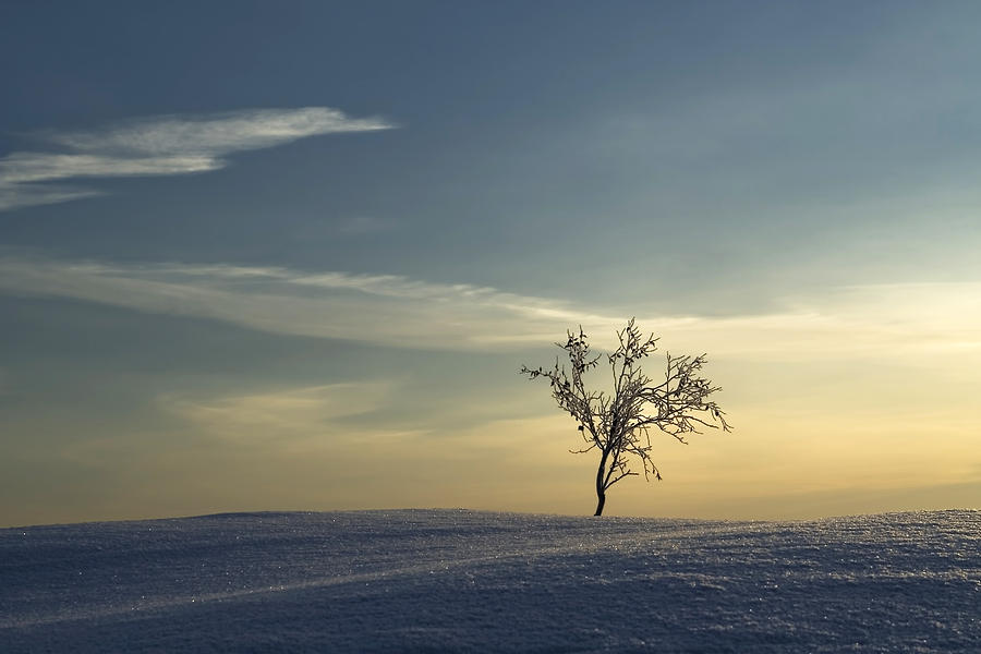 Linnansaari nationalpark Photograph by Jorma Hevonkoski - Fine Art America