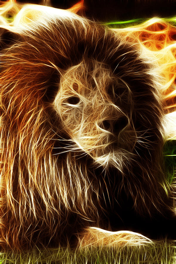 Lion - Electric Lion Photograph by Amador Esquiu Marques | Fine Art America