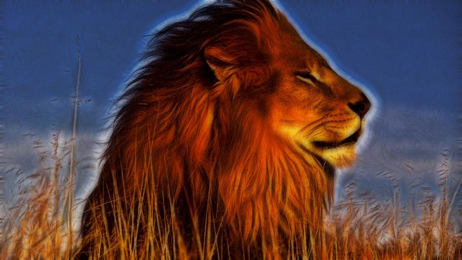 Lion - King of animals Digital Art by Lilia S