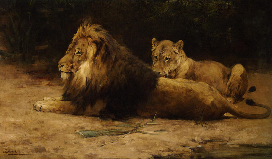 Lion Digital Art - Lion and Lioness at Rest by Armour George Denholm