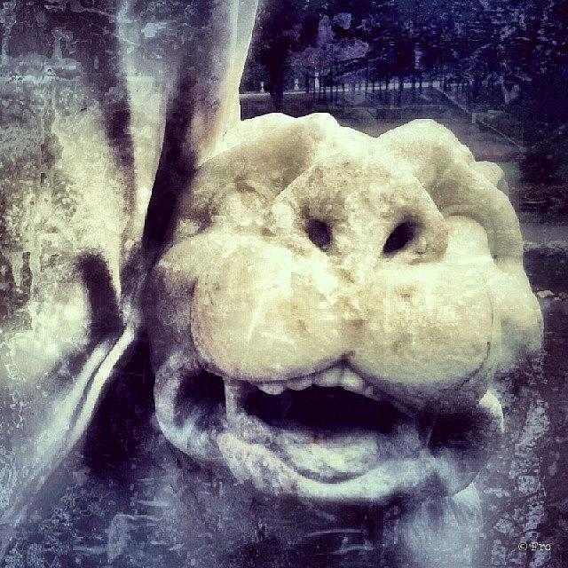 Sign Photograph - Lion #art #fro #artlife #lion #artgram by Alexander Fro