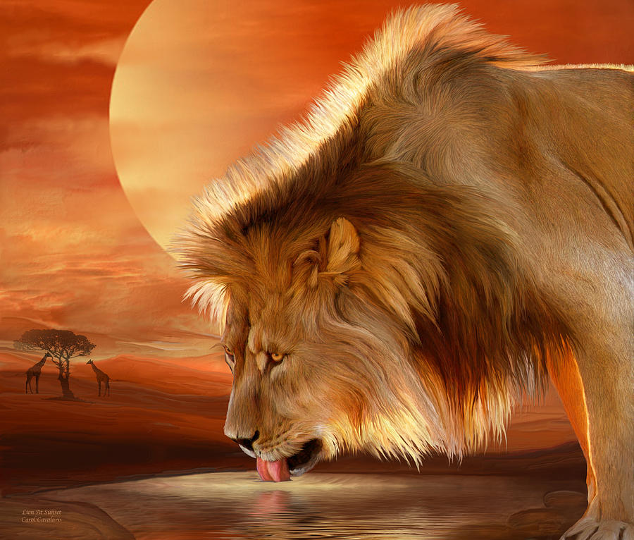 Lion At Sunset Mixed Media by Carol Cavalaris