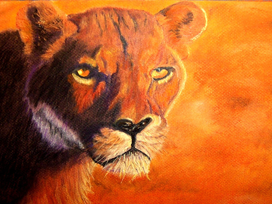 Wildlife Painting - Lion at Sunset by Jay Johnston