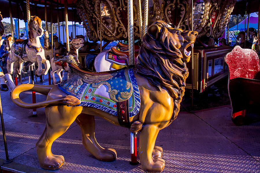 Lion Photograph - Lion Carrousel  by Garry Gay