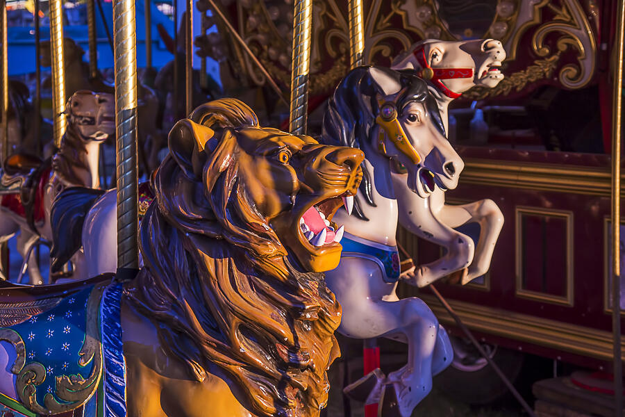 Lion Photograph - Lion Carrousel Ride by Garry Gay