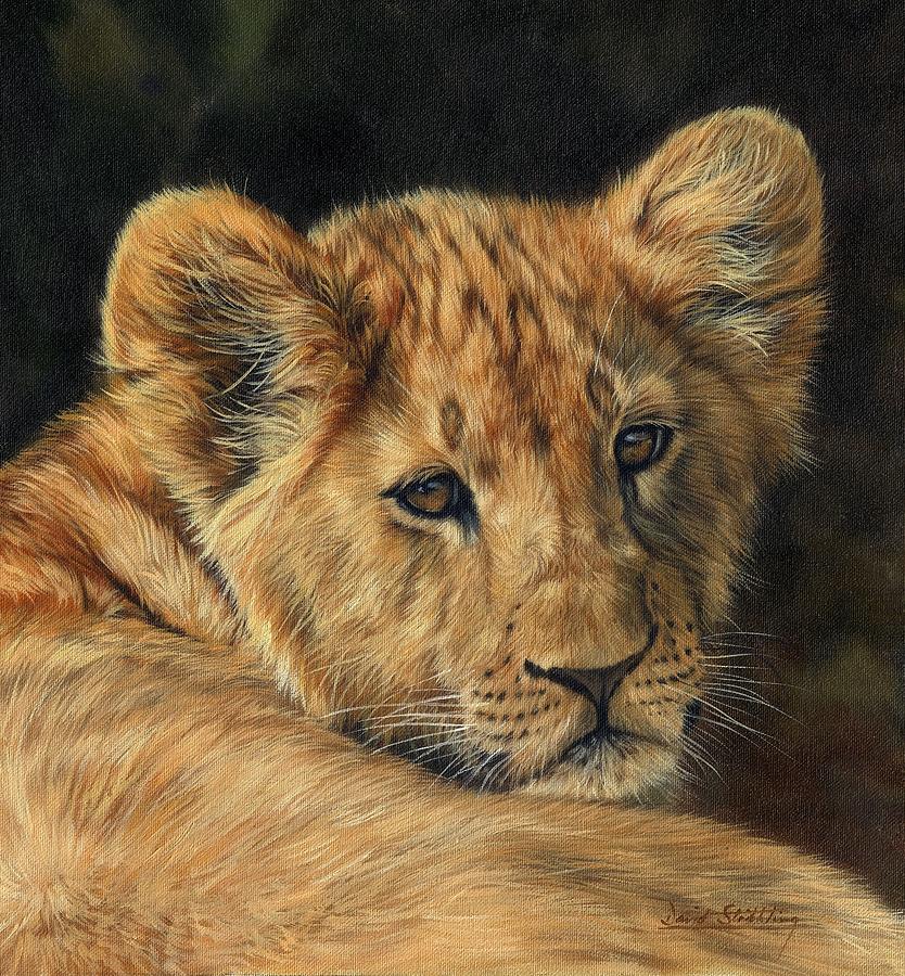 Lion Cub Painting by David Stribbling