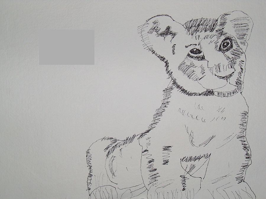 Animal Drawing - Lion Cub by Rahul Narasimhan