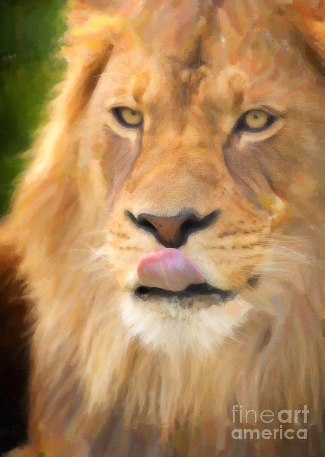 Lion Digital Art by David Millenheft