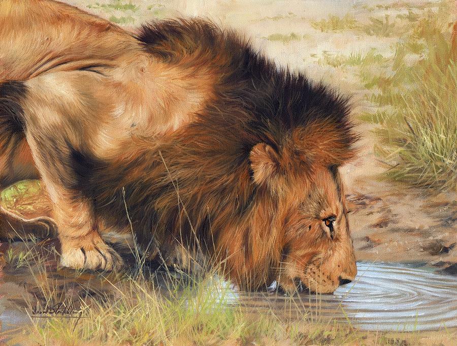 Wildlife Painting - Lion by David Stribbling