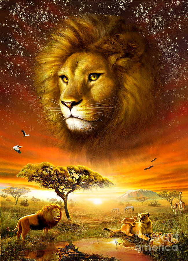 Animal Digital Art - Lion Dawn by MGL Meiklejohn Graphics Licensing
