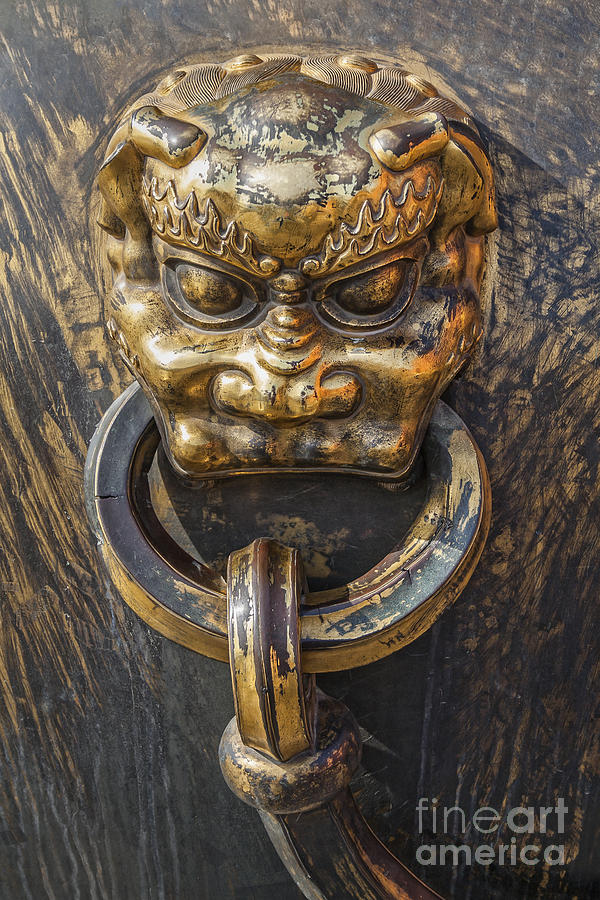 Lion detail on golden pot in the Forbidden City Photograph by Bryan Mullennix
