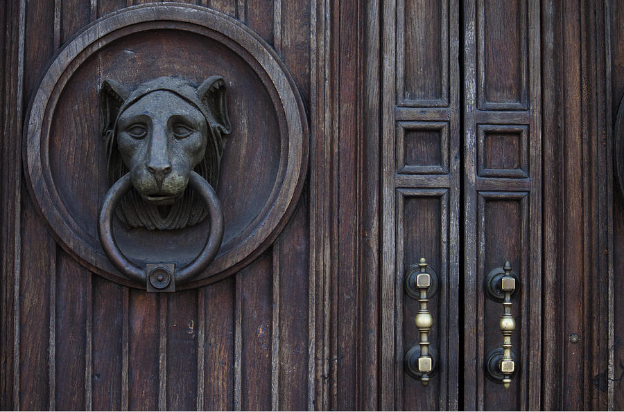 Lion Door Photograph by Ivete Basso Photography