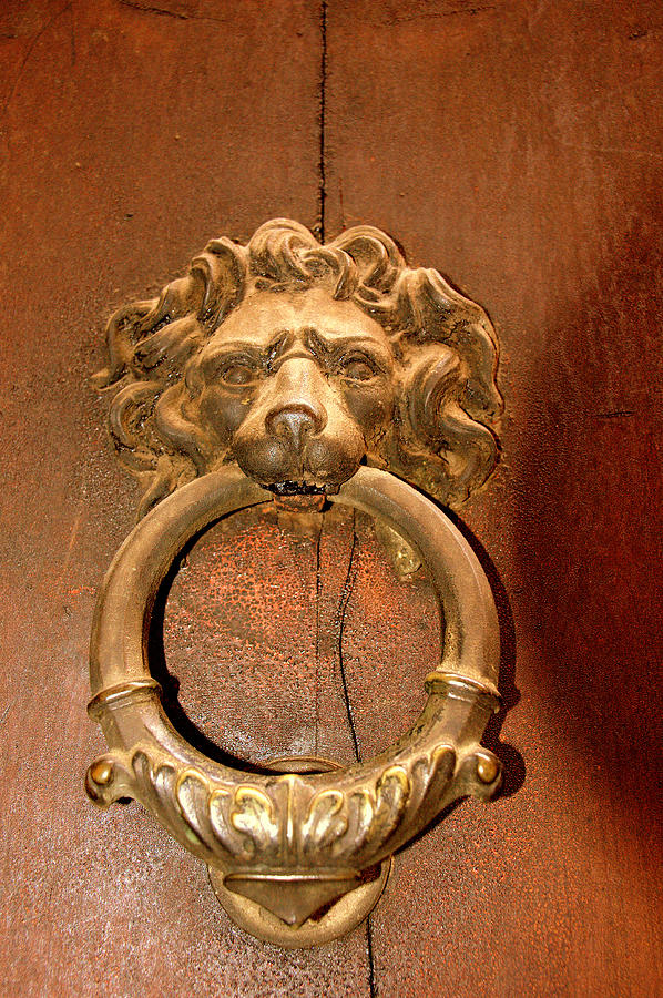 Lion Door Knocker I I  Florence Photograph by Caroline Stella