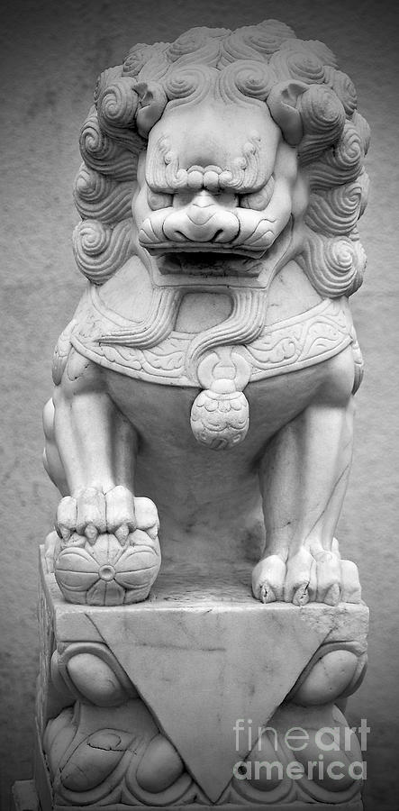 Lion Foo Dog Photograph by Dianne Paul - Pixels