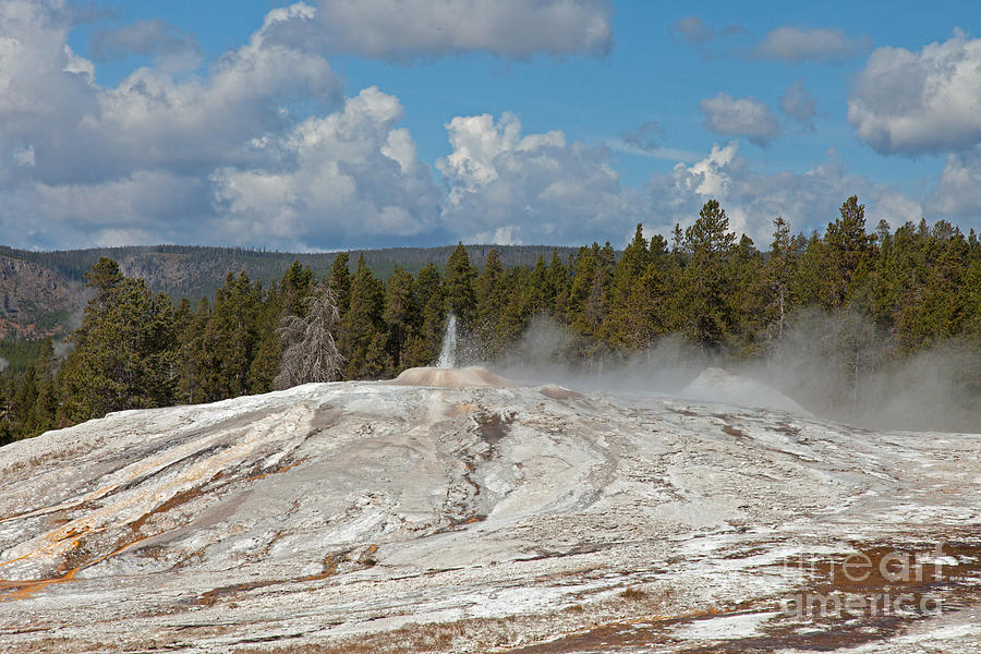 Lion Geyser Group in Upper Geyser Basin Photograph by Fred Stearns
