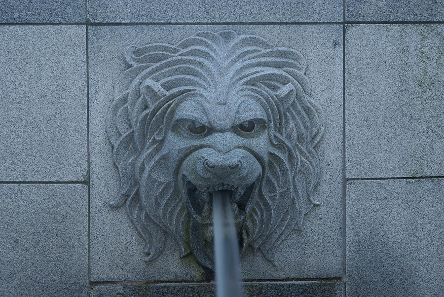 Fountain Photograph - Lion Head by Rob Luzier