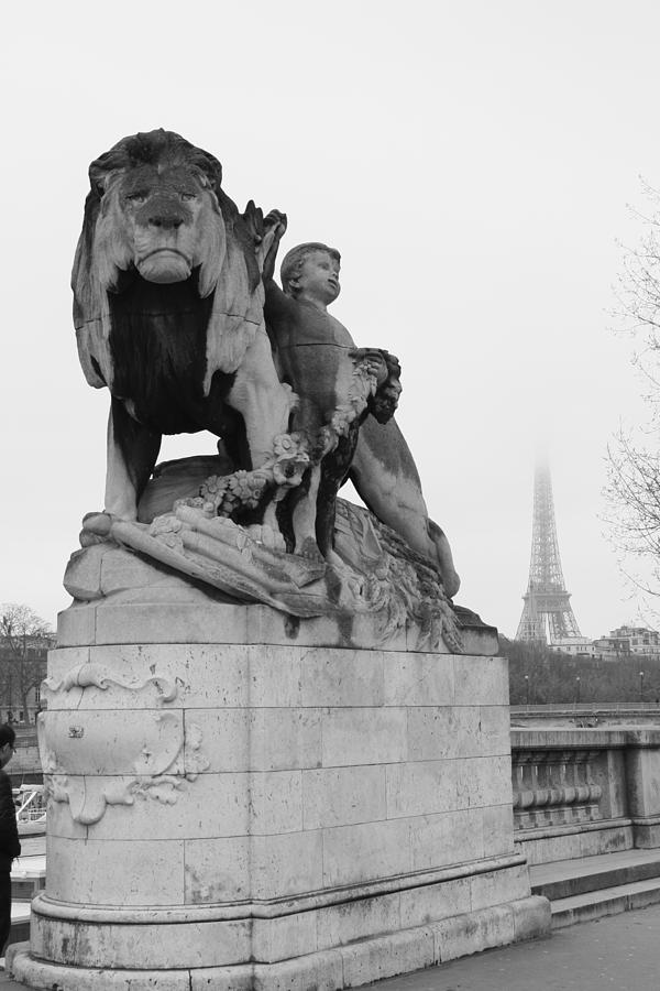 Lion in Paris Photograph by Catherine Husome - Fine Art America