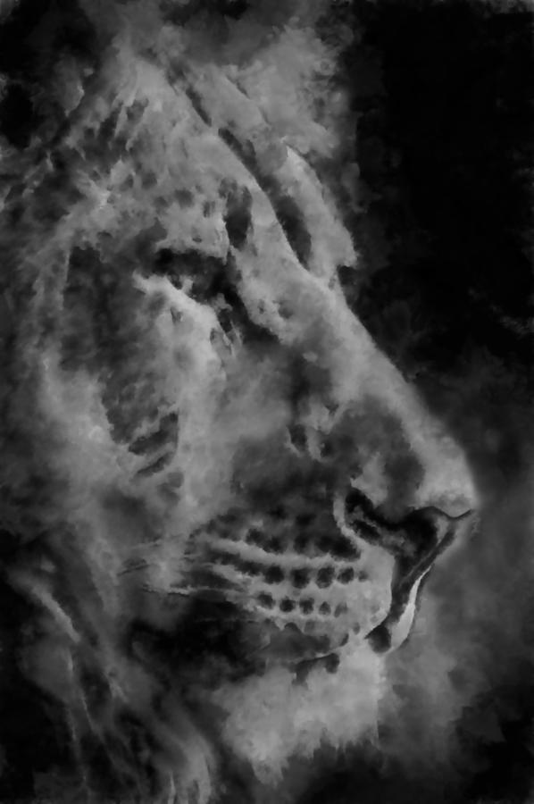 Lion Digital Art - Lion in the Clouds by Ernest Echols
