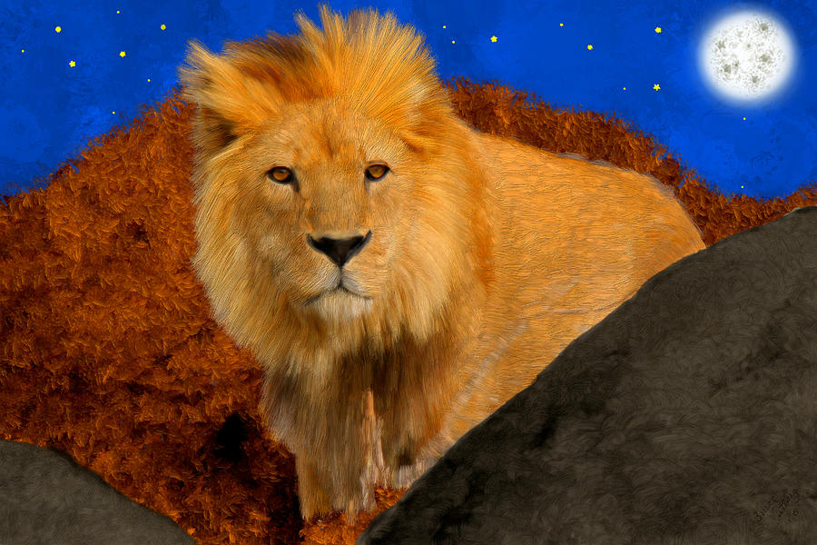 Lion in the Evening Painting by Bruce Nutting