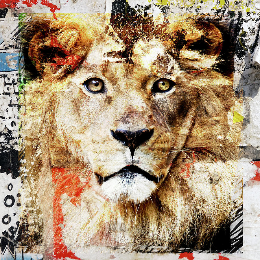 Lion Digital Art by Luz Graphic Studio