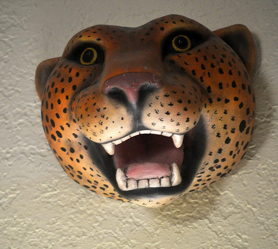 Lion Head Mask Photograph by Jay Milo