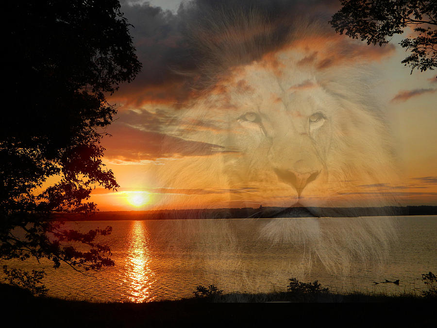 Lion Merge			 Photograph by Ronda Ryan