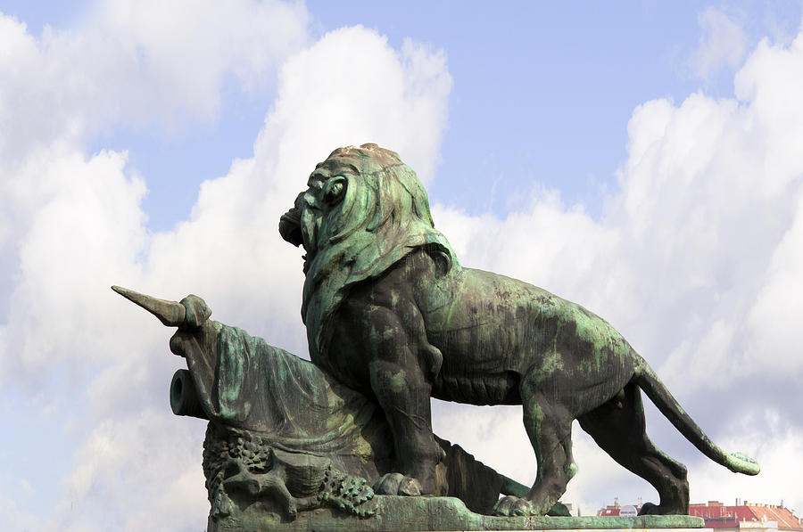 Lion of Hungary Photograph by Brenda Kean