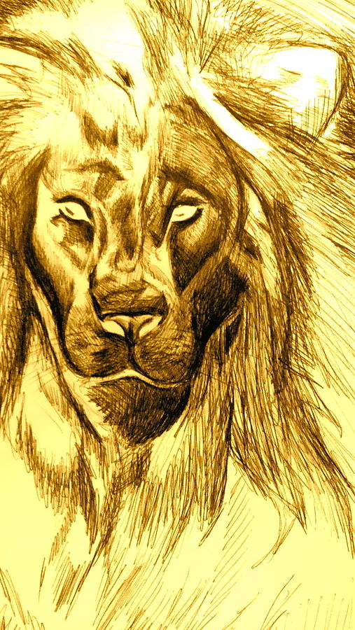 Lion of Judah Drawing by Kristen Lasher.