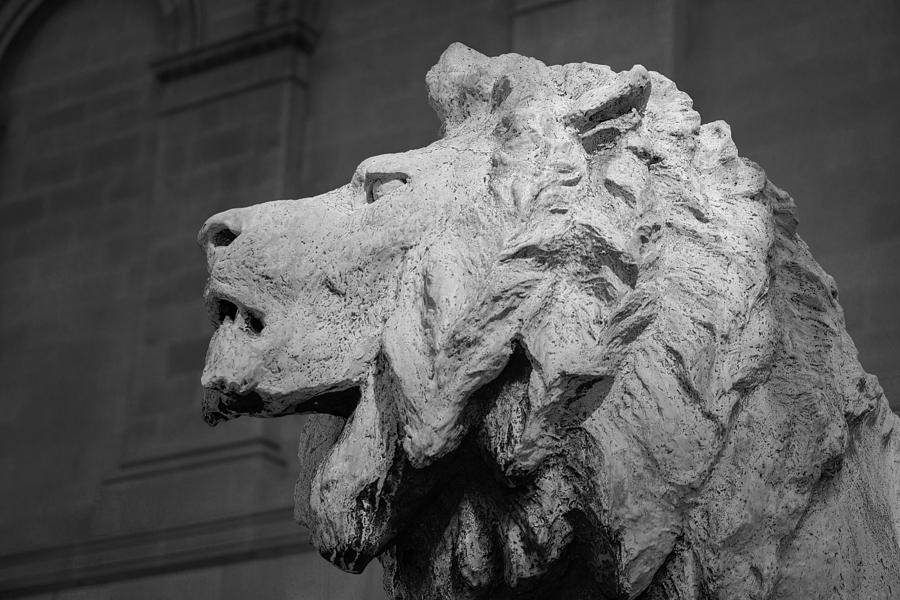 Lion of the Art Institute Chicago B W Photograph by Steve Gadomski