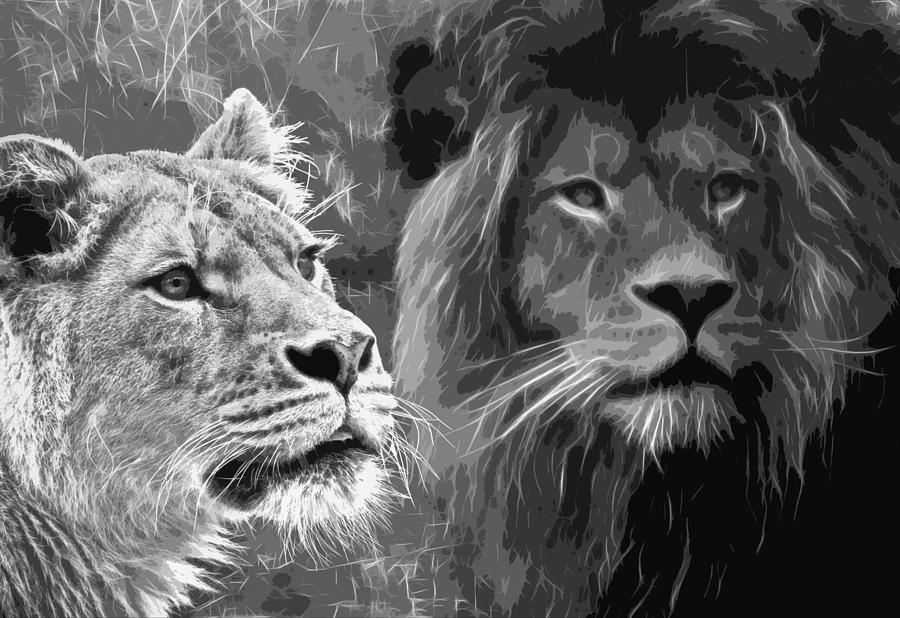 Lion Pair Black and White Photograph by Steve McKinzie