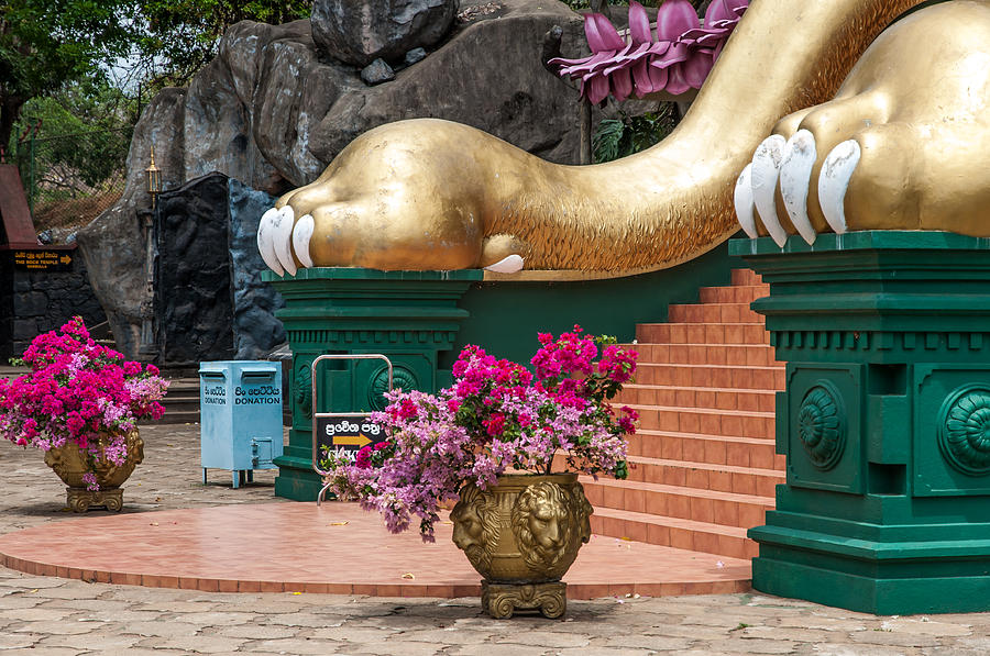 Architecture Photograph - Lion Paws of the Entrance to Golden Temple. Dambulla by Jenny Rainbow