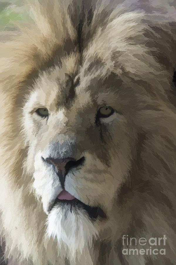 Lion Portrait Watercolour Photograph by Chris Thaxter