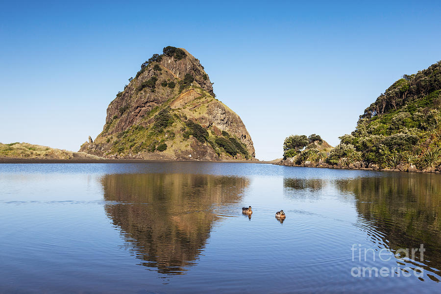 Lion Rock Piha New Zealand Photograph by Colin and Linda McKie