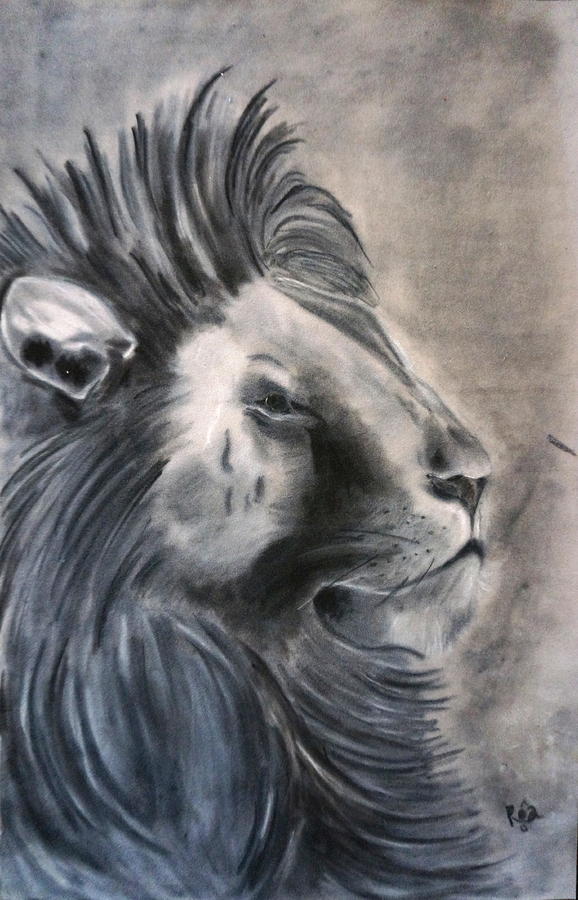 Lion Drawing - Lion by Rosa Garcia Sanchez