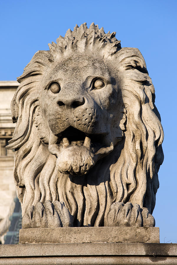 Lion Photograph - Lion Sculpture on Chain Bridge in Budapest by Artur Bogacki