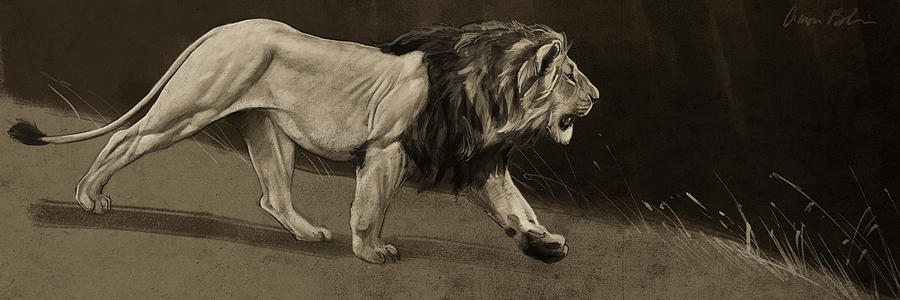 Digital Digital Art - Lion Sketch by Aaron Blaise