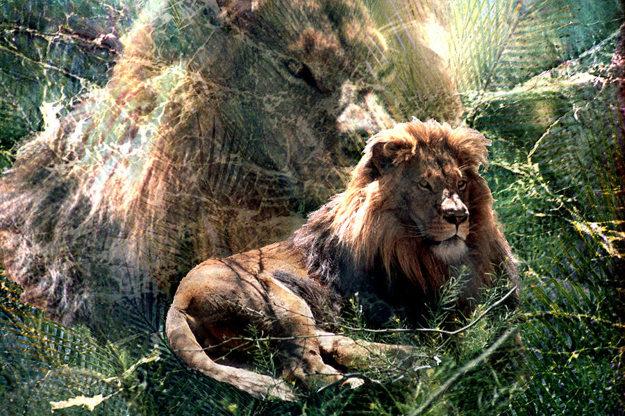 Lion Spirit Digital Art by Lisa Yount