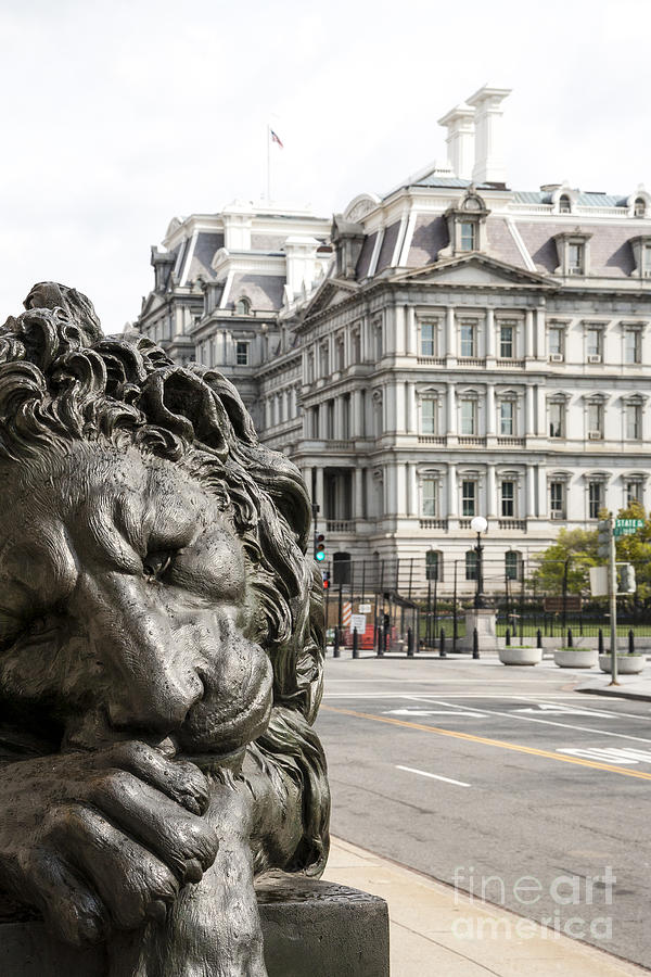 Lion statue at entrance to Corcoran Gallery of Art in Washington DC Photograph by William Kuta
