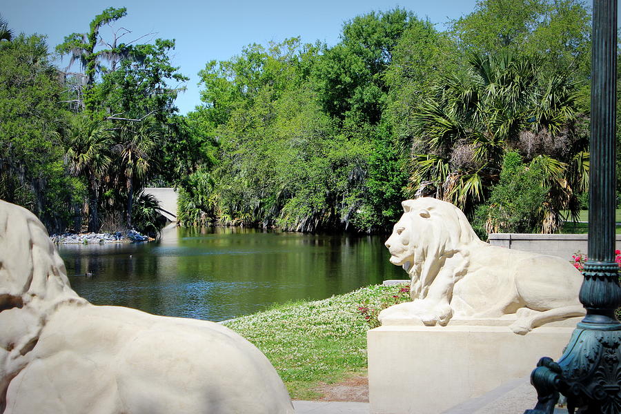 Lion Statues - City Park Photograph by Beth Vincent