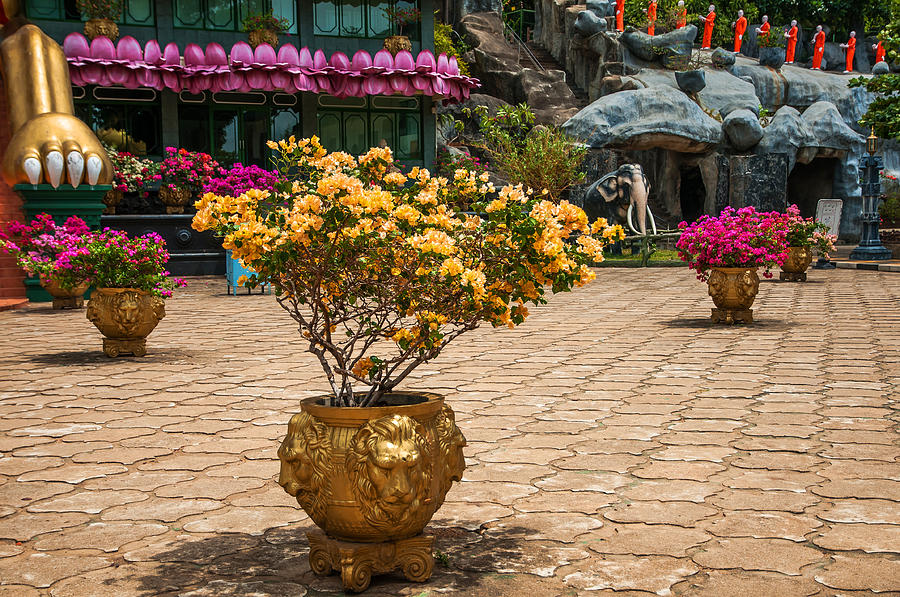 Architecture Photograph - Lion Vases at Golden Temple in Dambulla by Jenny Rainbow