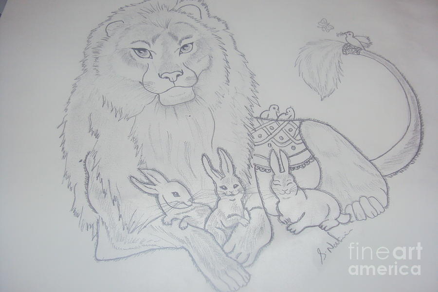 Lionhead rabbit Drawing Sketch, lion, mammal, face png | PNGEgg