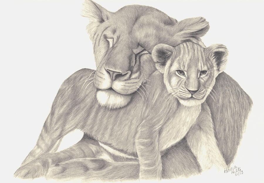 Lioness and Cub Drawing by Patricia Hiltz Pixels